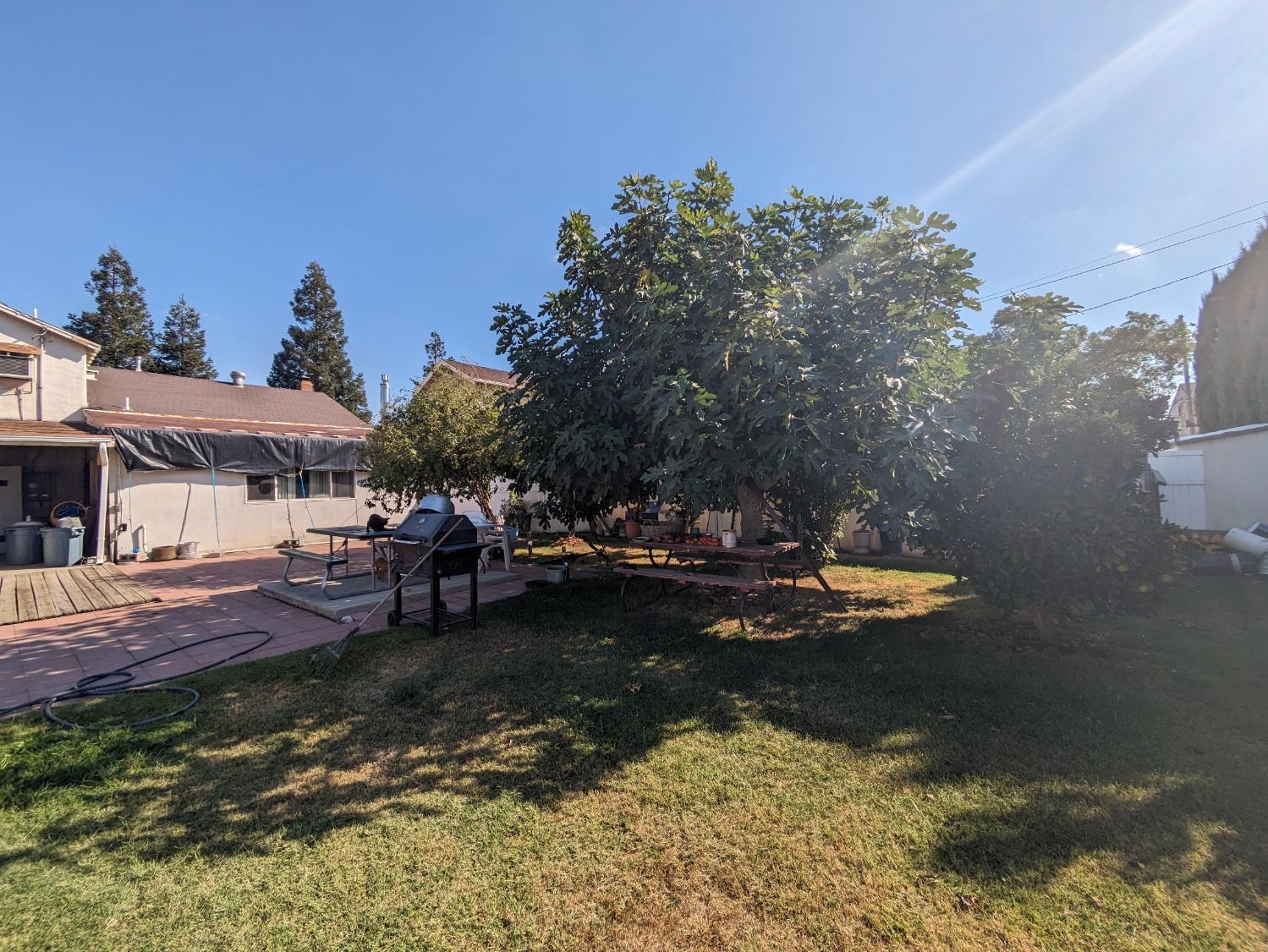 Mabel Avenue, Dos Palos, California image 3