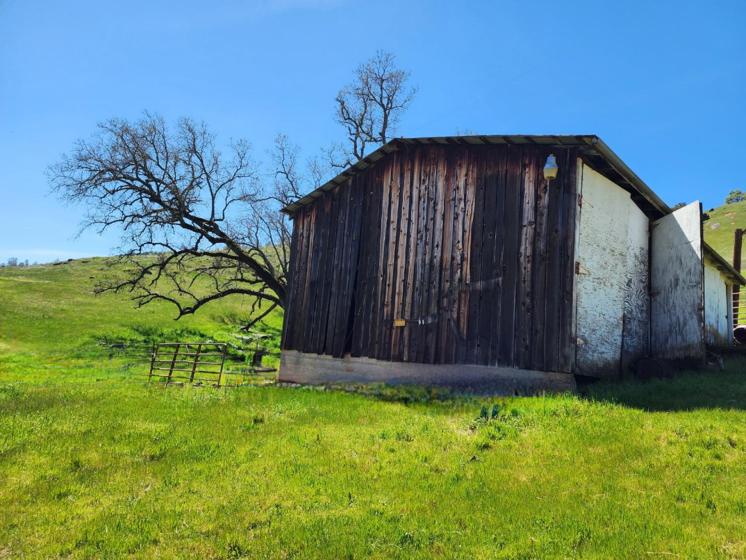 State Hwy. 49, Plymouth, California image 3