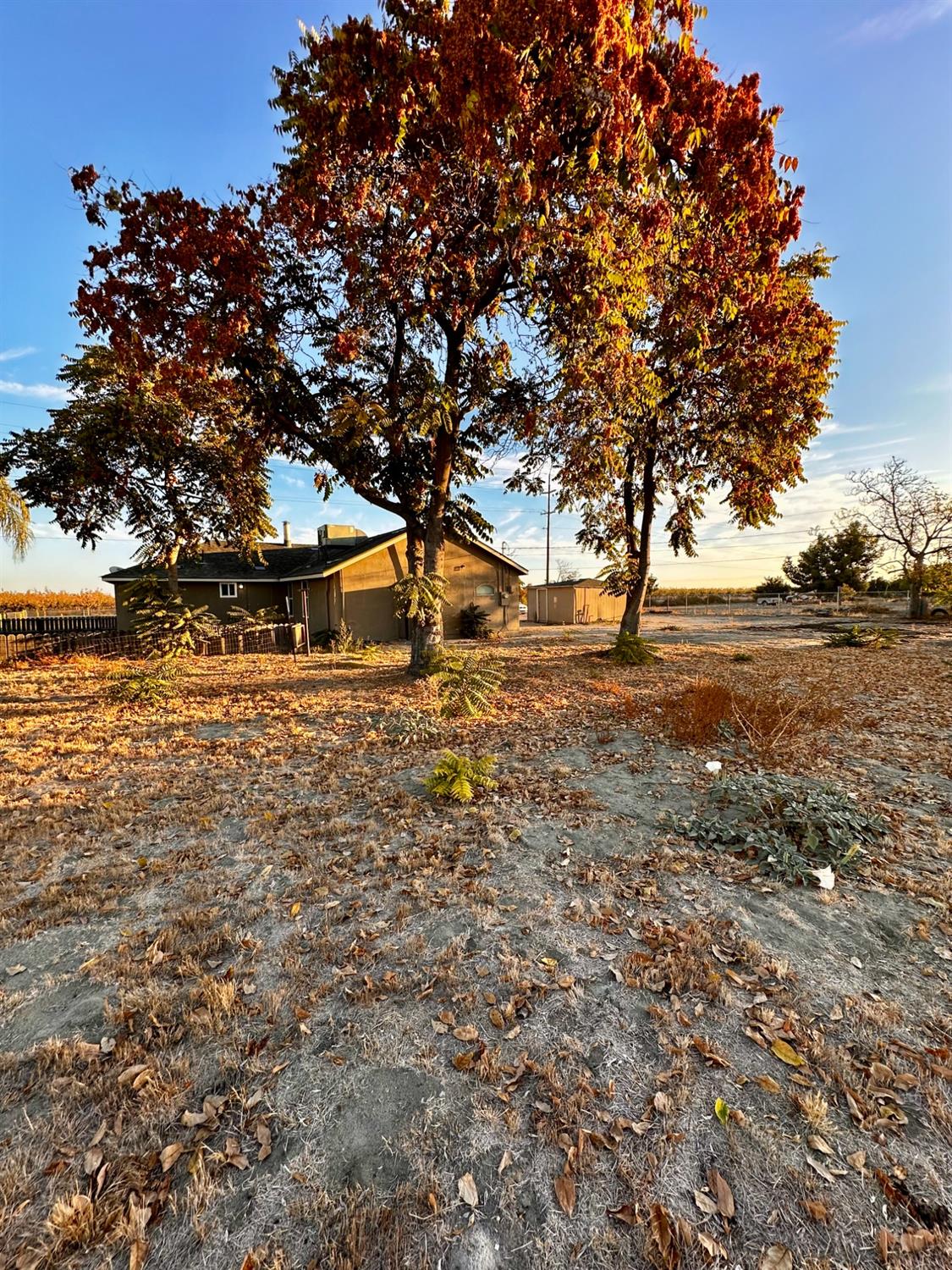 Orange Avenue, Corcoran, California image 17