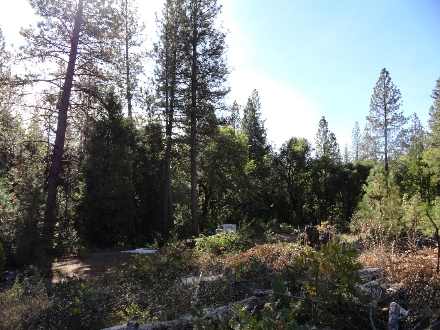 Wolverine Mine Road, Glencoe, California image 15