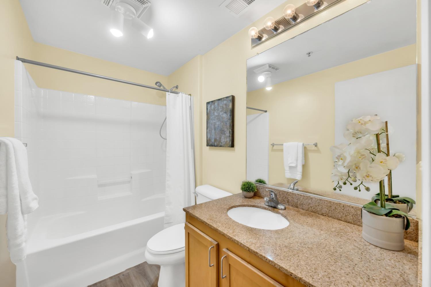 Photo #25: 223106849 Listing: Photo #25