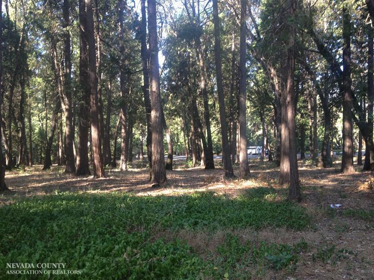 Photo of 13004 Somerset Dr in Grass Valley, CA
