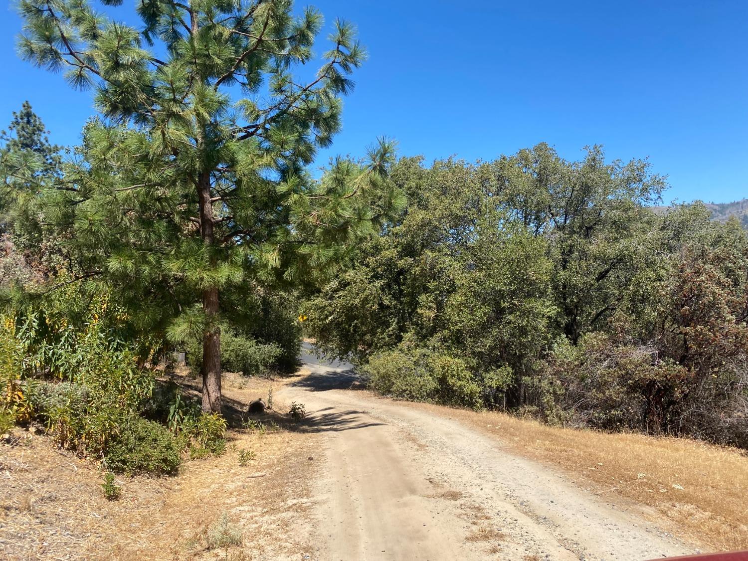 Meadow Lane, Mariposa, California image 26