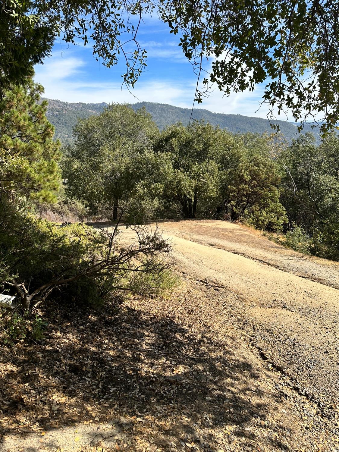 Meadow Lane, Mariposa, California image 24