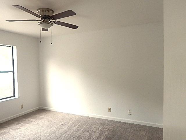Photo #22: 223103915 Listing: Photo #22