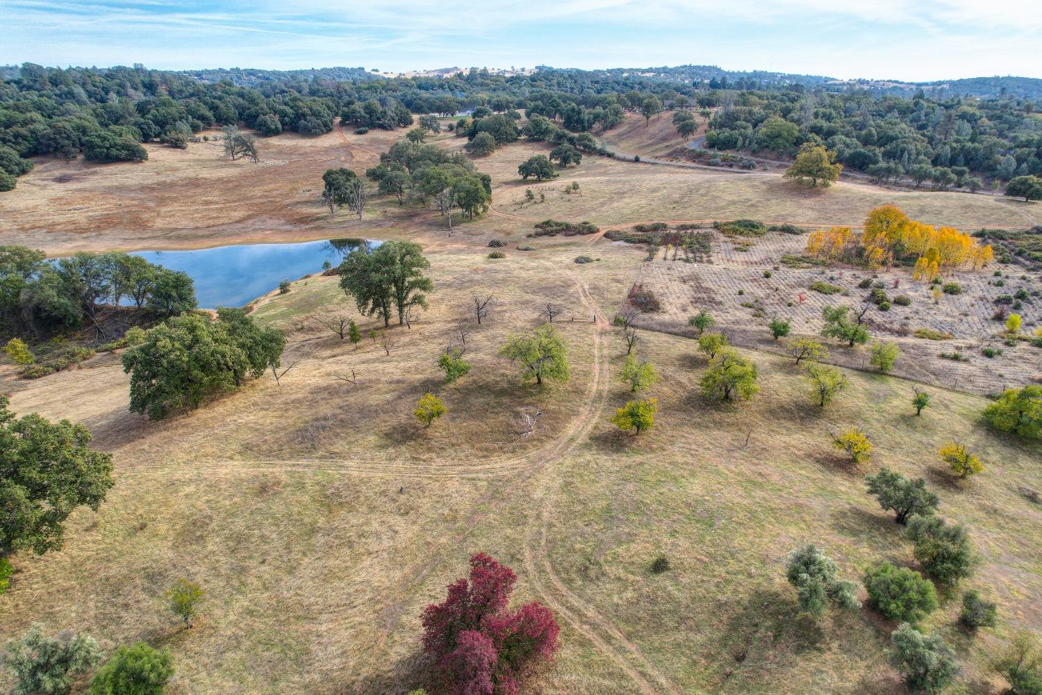 Detail Gallery Image 46 of 64 For 5520 Mother Lode Dr, Placerville,  CA 95667 - – Beds | – Baths