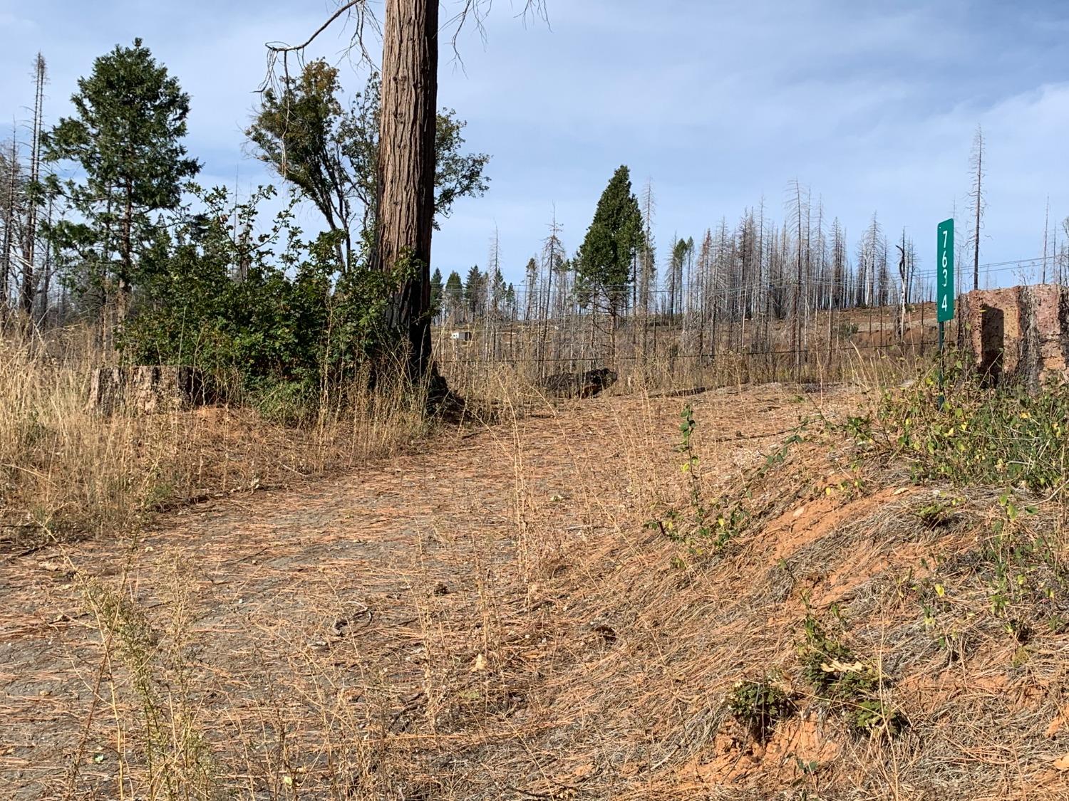 Forest Glen Drive, Grizzly Flats, California image 3