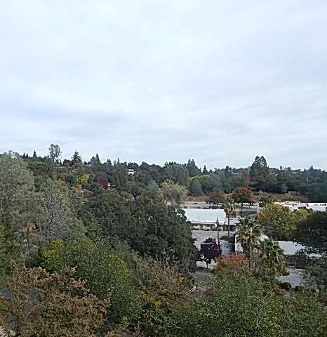 Photo #37: 223103915 Listing: Photo #37