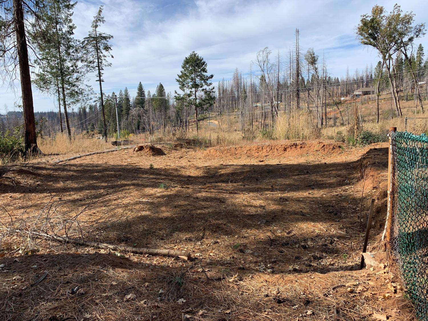 Forest Glen Drive, Grizzly Flats, California image 5