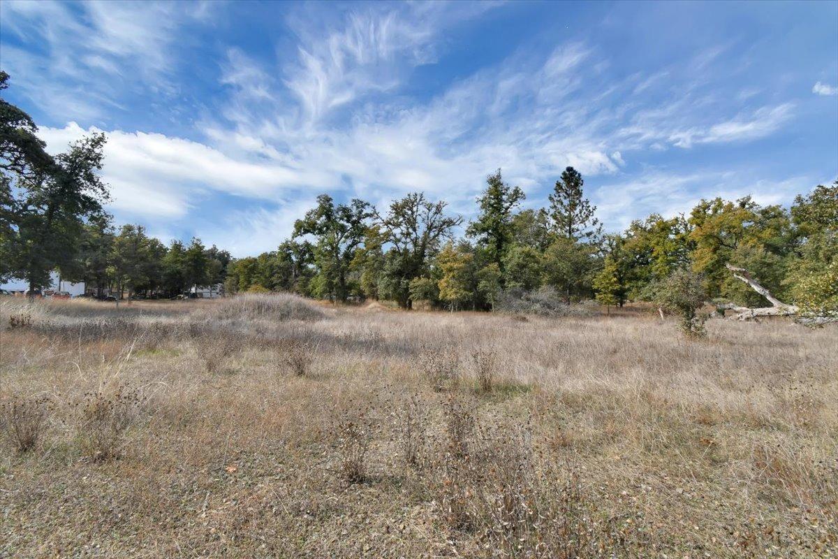 Rices Texas Hill Road, Oregon House, California image 16