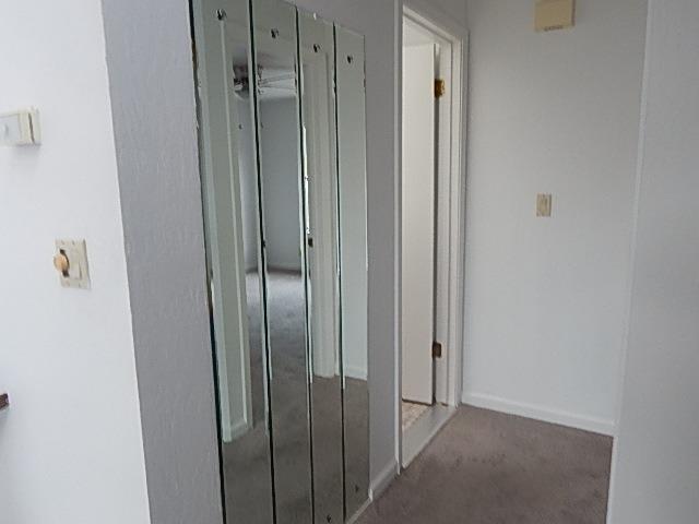 Photo #21: 223103915 Listing: Photo #21