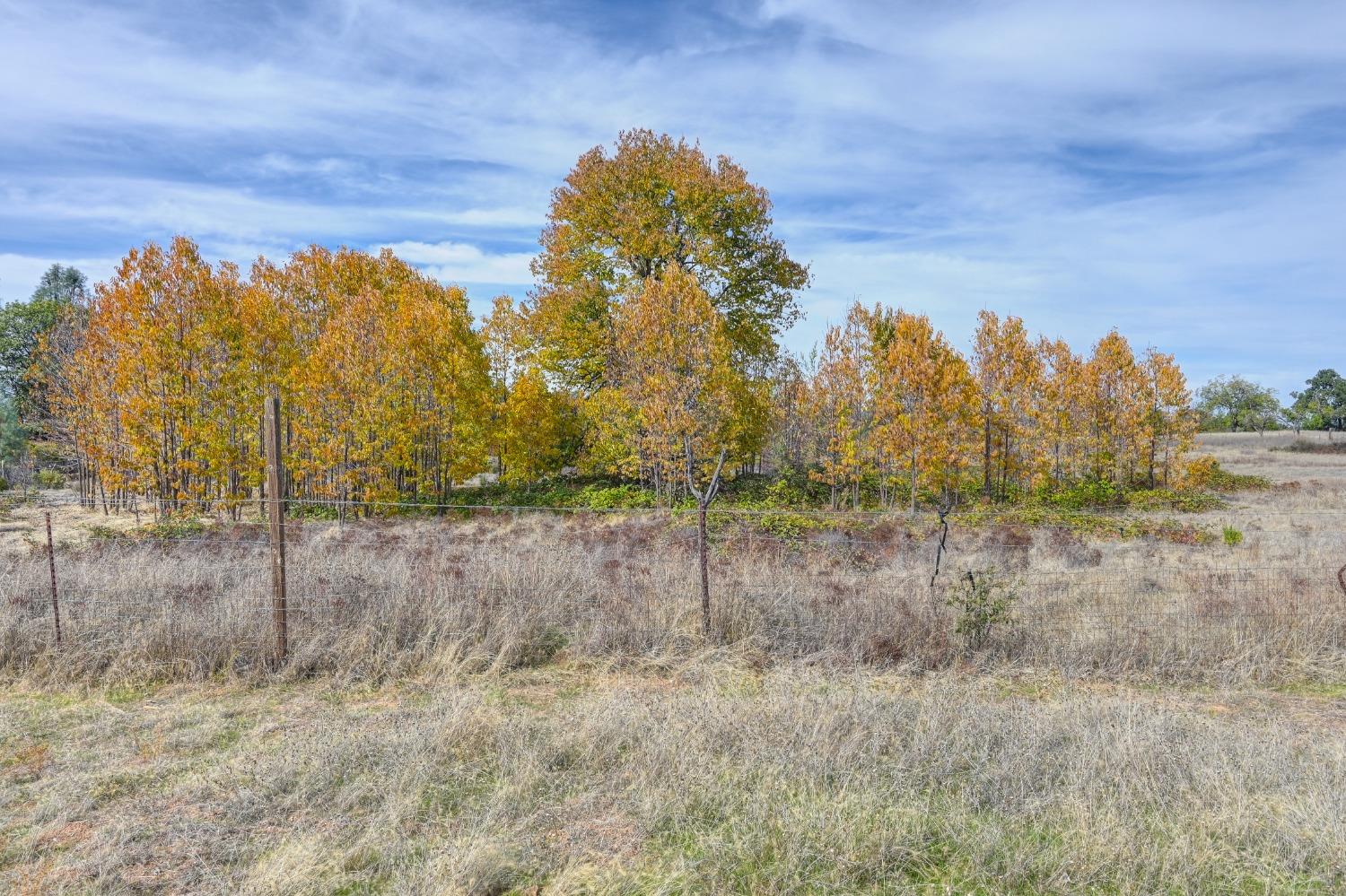 Detail Gallery Image 38 of 64 For 5520 Mother Lode Dr, Placerville,  CA 95667 - – Beds | – Baths