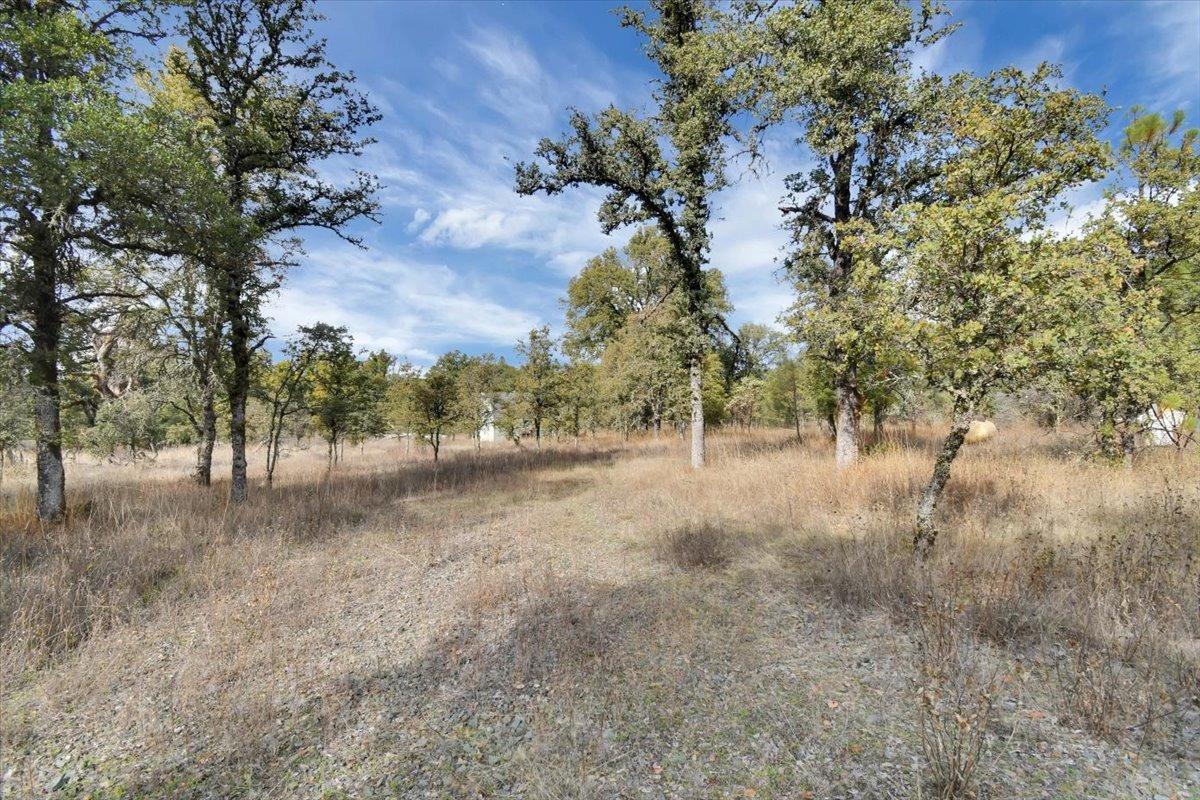 Rices Texas Hill Road, Oregon House, California image 10