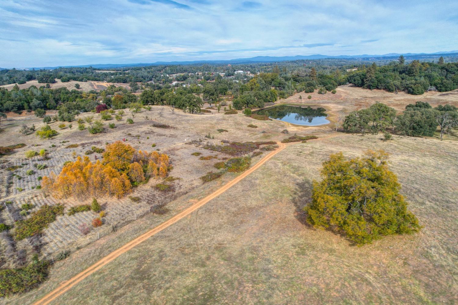 Detail Gallery Image 14 of 64 For 5520 Mother Lode Dr, Placerville,  CA 95667 - – Beds | – Baths