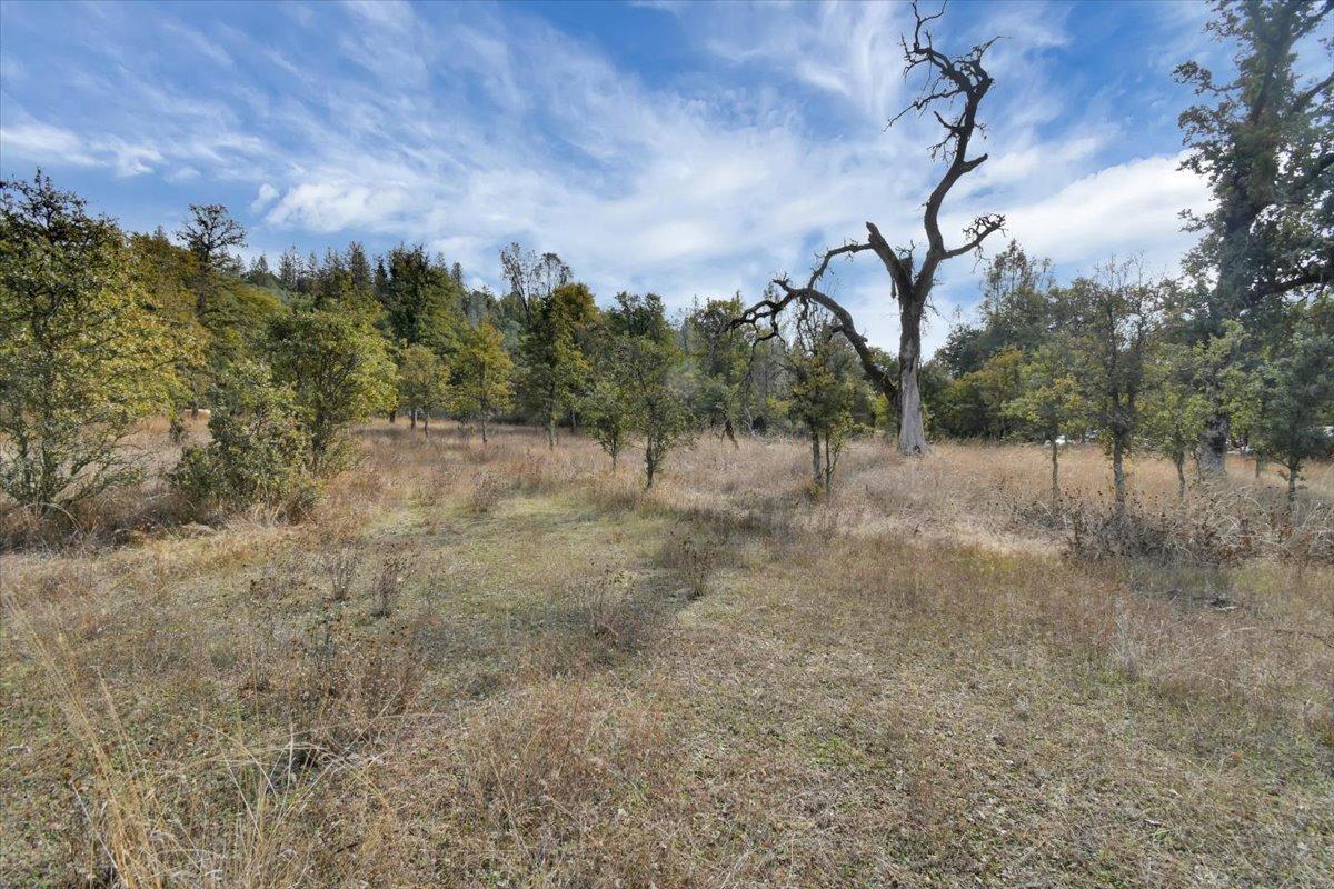 Rices Texas Hill Road, Oregon House, California image 15