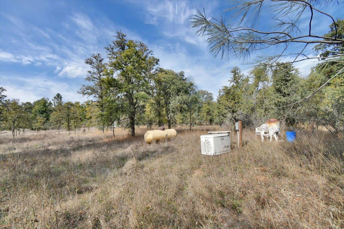 Rices Texas Hill Road, Oregon House, California image 9