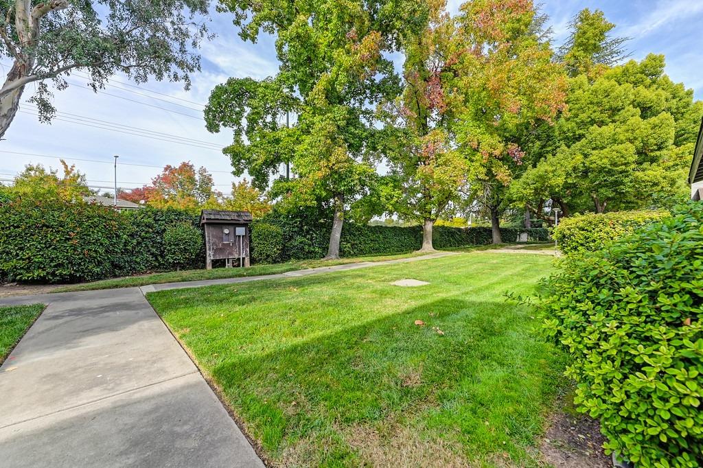 Photo #34: 223107012 Listing: Photo #34