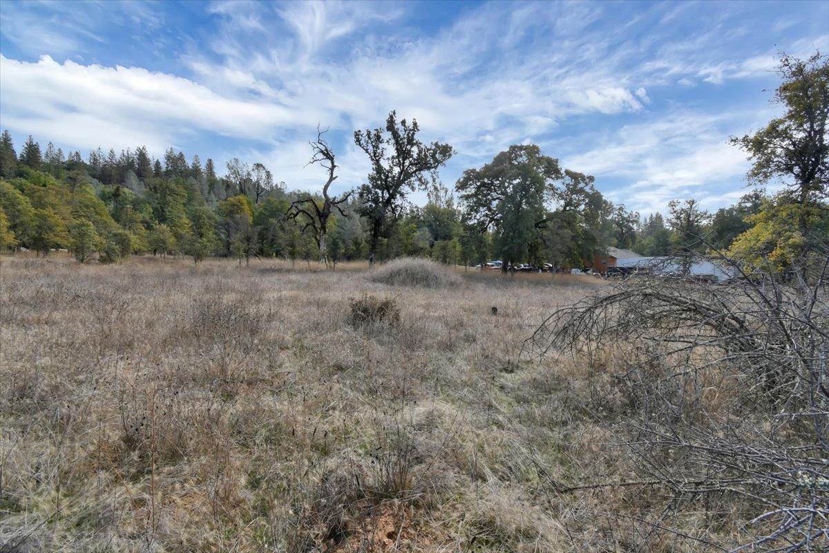 Rices Texas Hill Road, Oregon House, California image 4