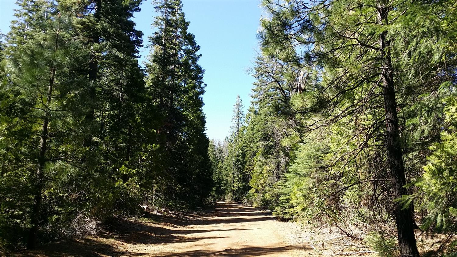 Detail Gallery Image 2 of 12 For 14961 Robbins Ranch Rd, Nevada City,  CA 95959 - – Beds | – Baths