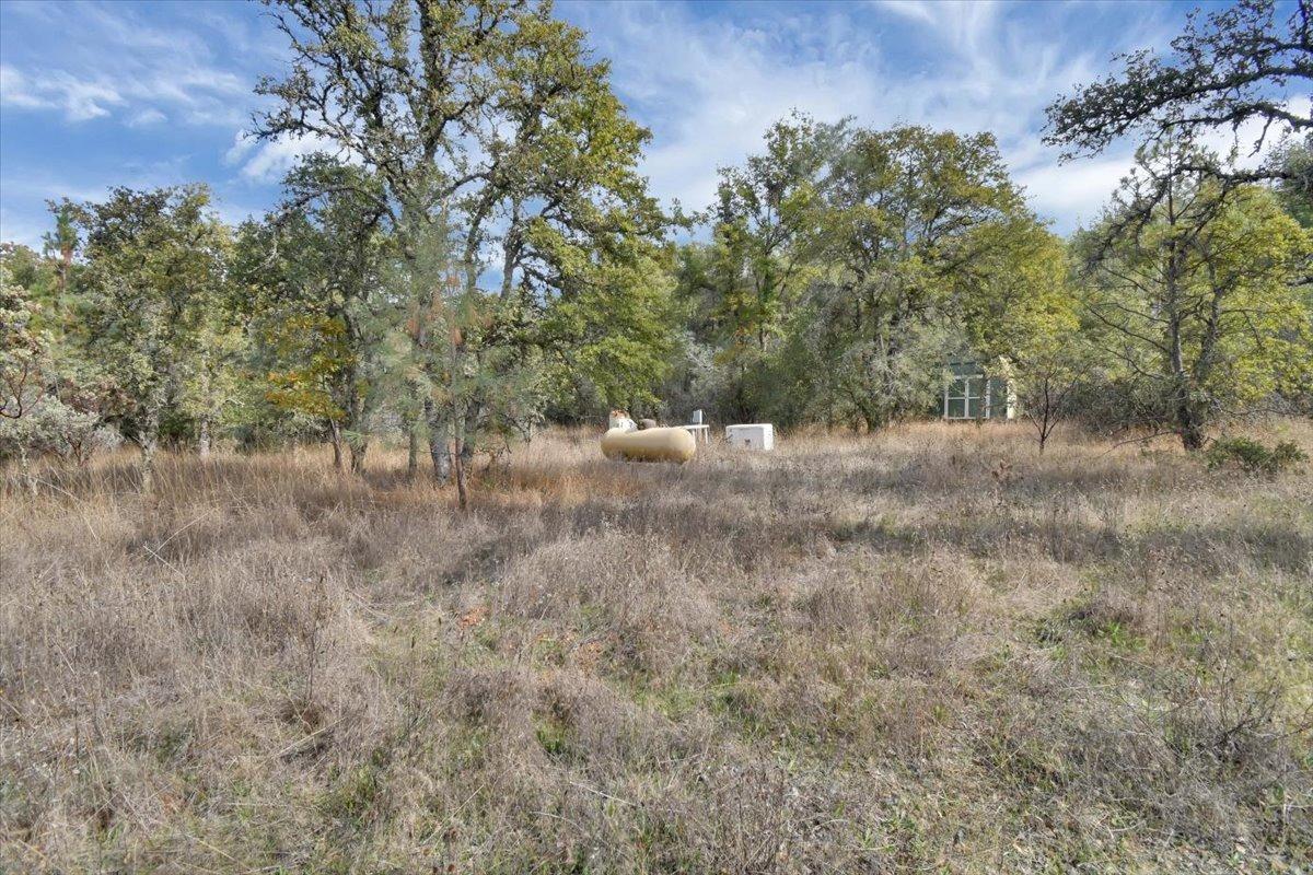 Rices Texas Hill Road, Oregon House, California image 17