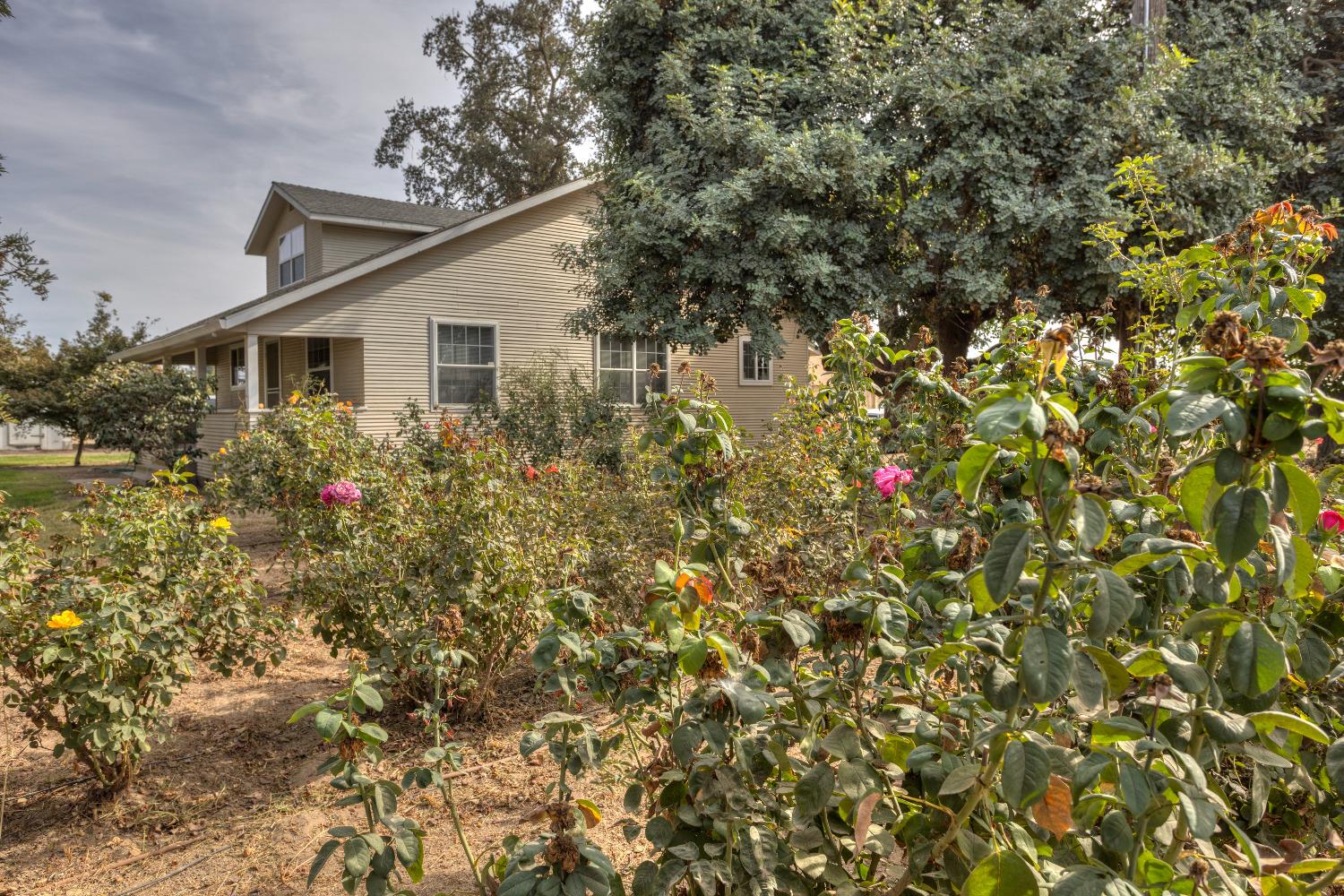 Detail Gallery Image 9 of 41 For 3240 E Tuolumne Rd, Turlock,  CA 95382 - 5 Beds | 2/1 Baths