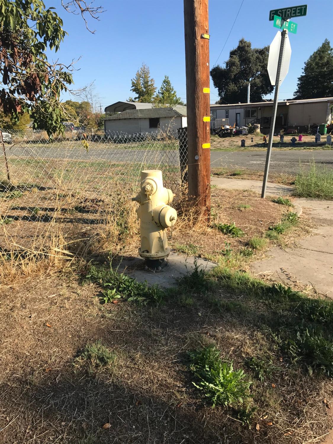 8th Street, Biggs, California image 9