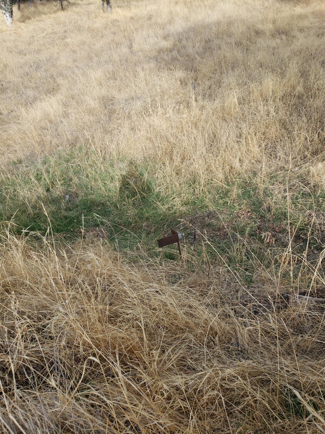 Buena Vista Drive, La Grange, California image 3