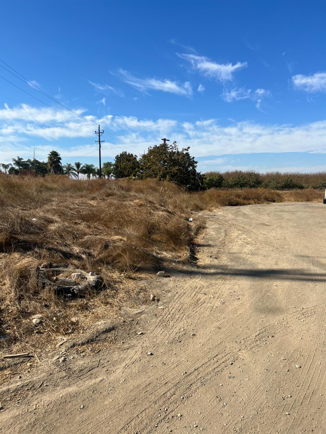 Hwy 33, Newman, California image 5