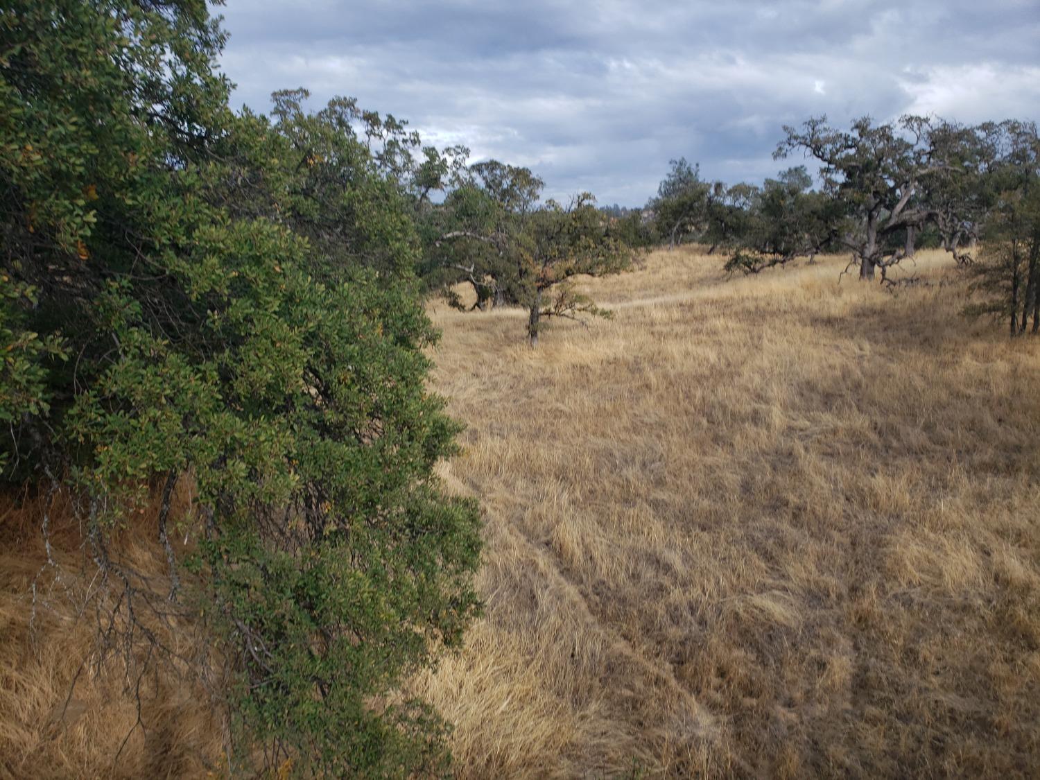 Buena Vista Drive, La Grange, California image 6