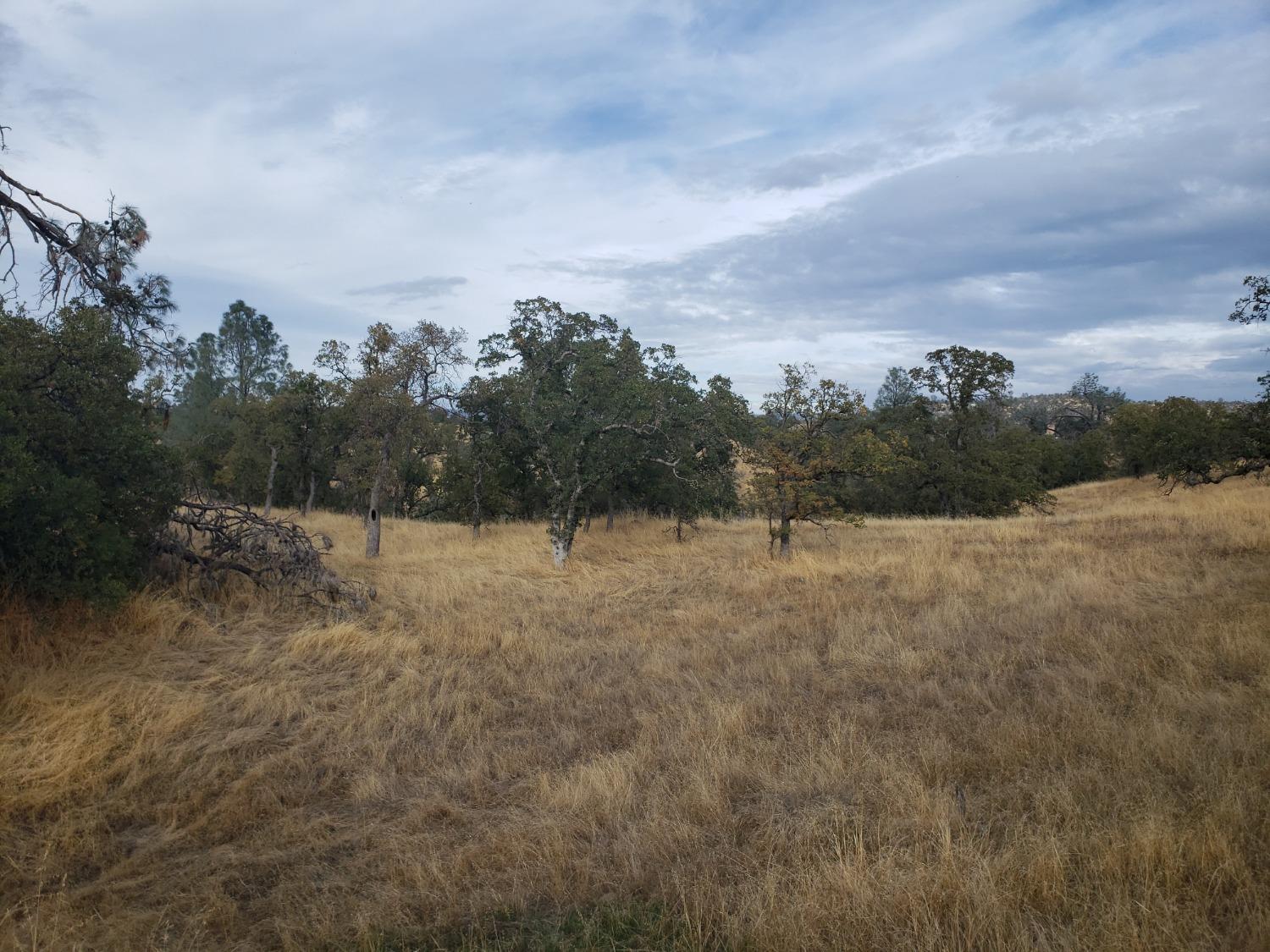 Buena Vista Drive, La Grange, California image 6