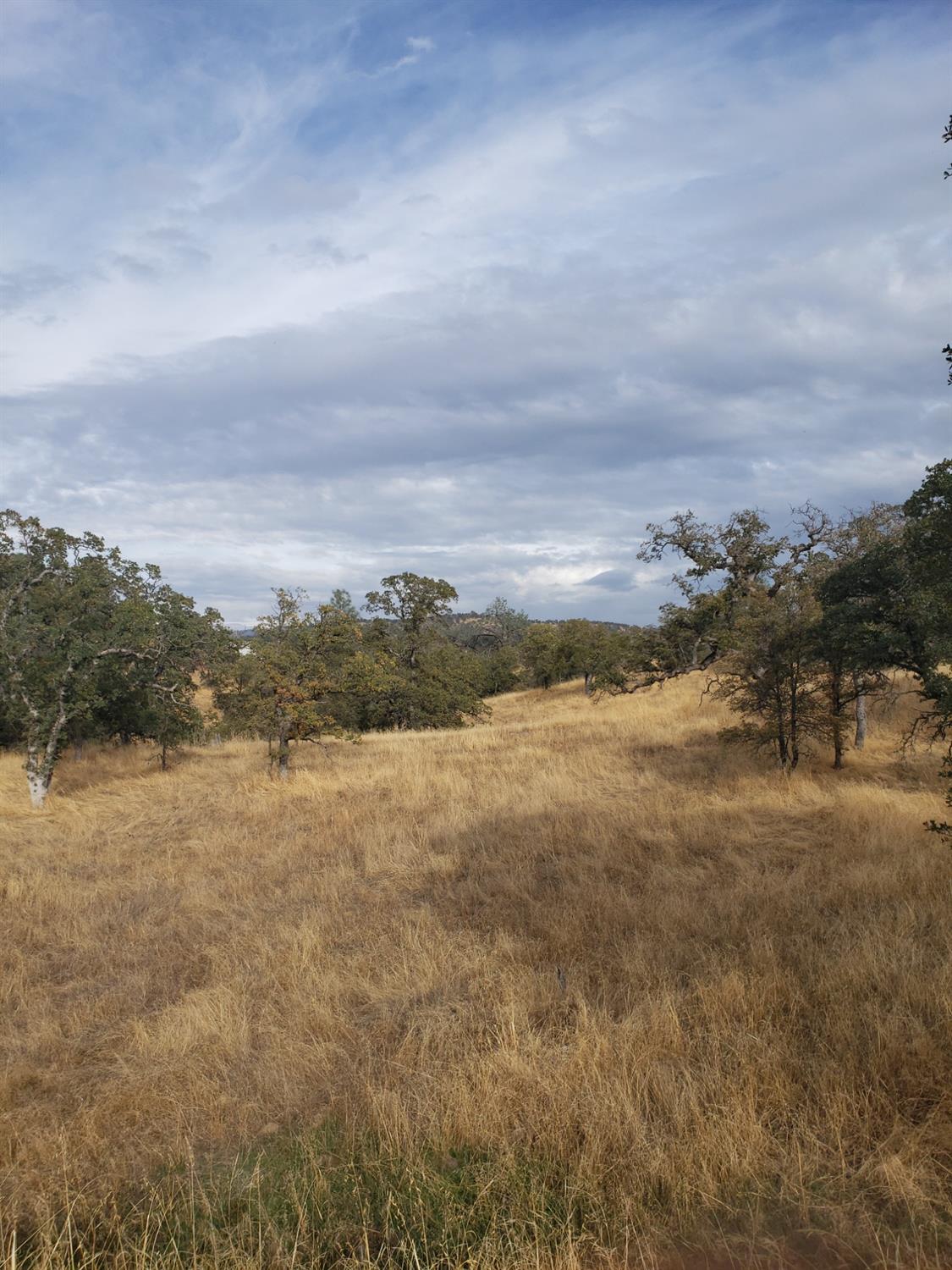 Buena Vista Drive, La Grange, California image 2