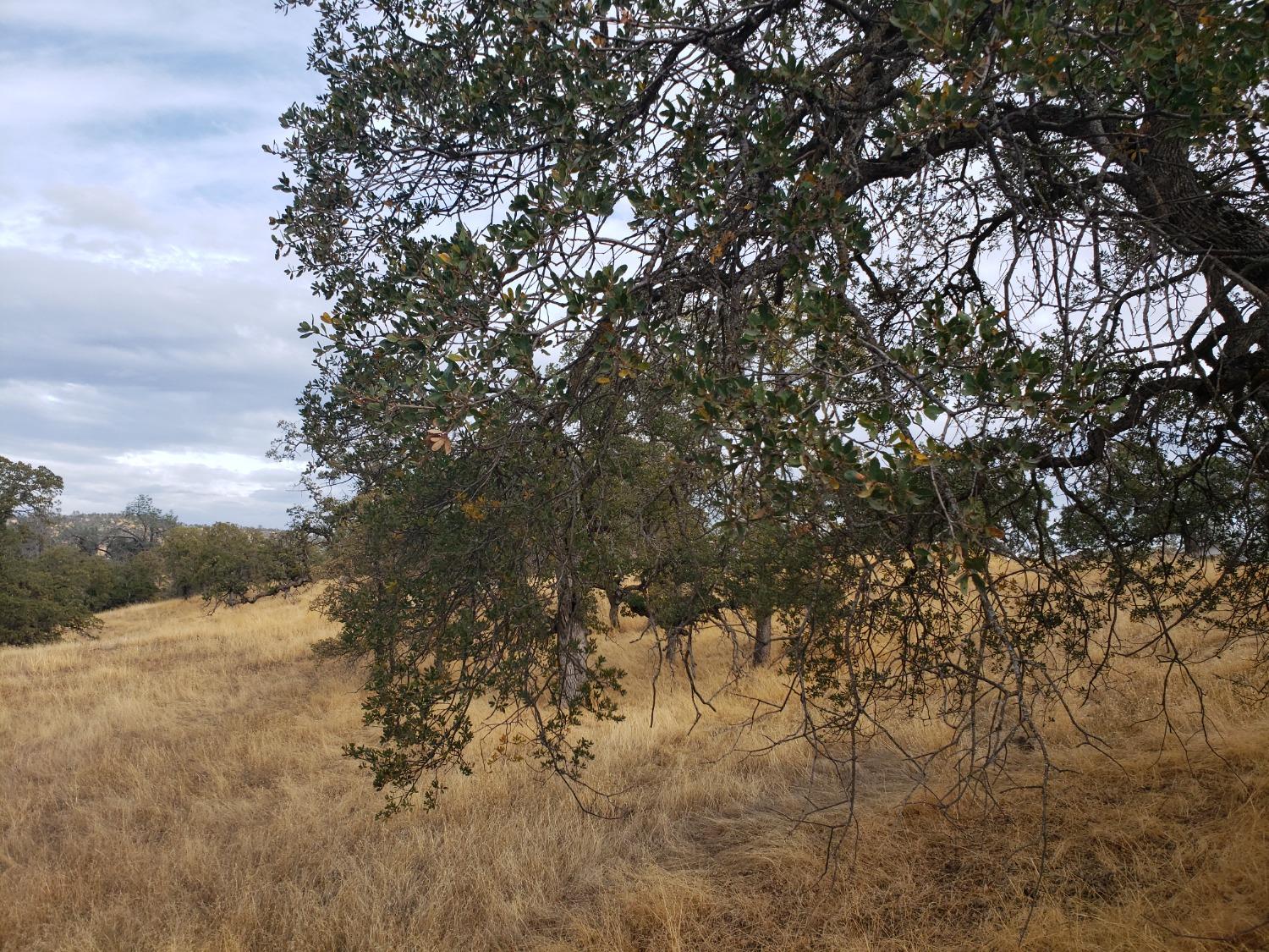 Buena Vista Drive, La Grange, California image 4