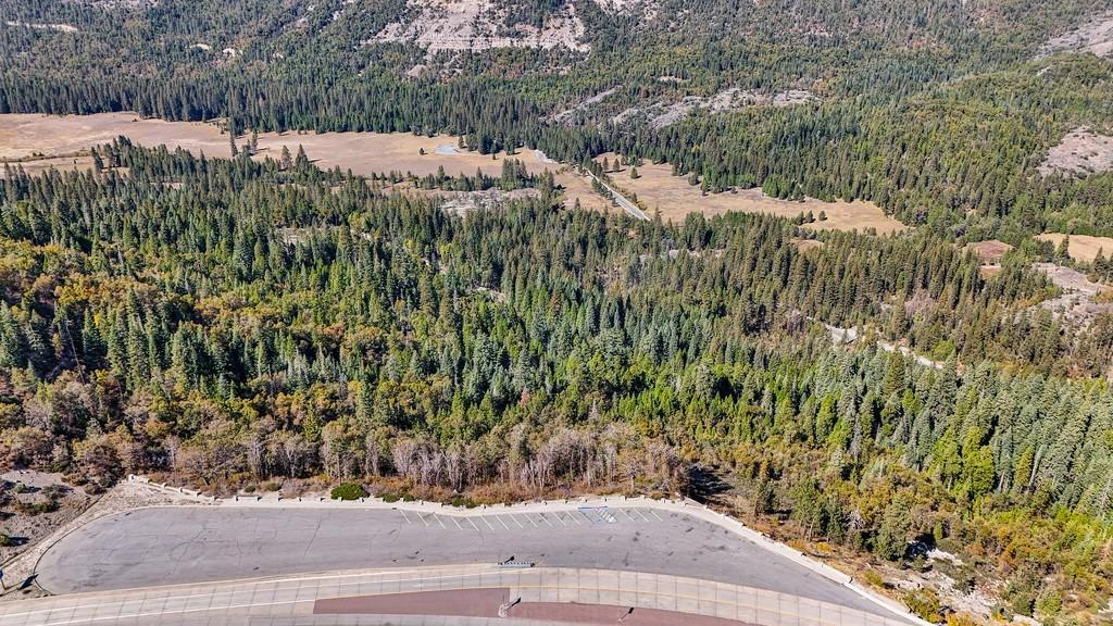 Nyack Road, Emigrant Gap, California image 30