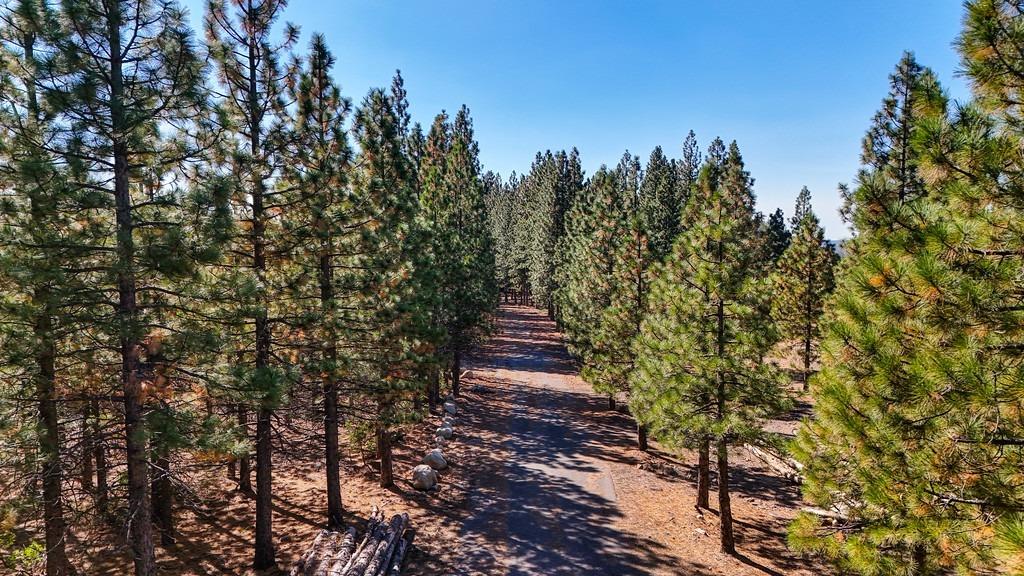 Nyack Road, Emigrant Gap, California image 36