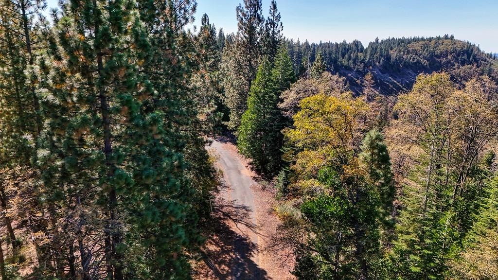 Nyack Road, Emigrant Gap, California image 38