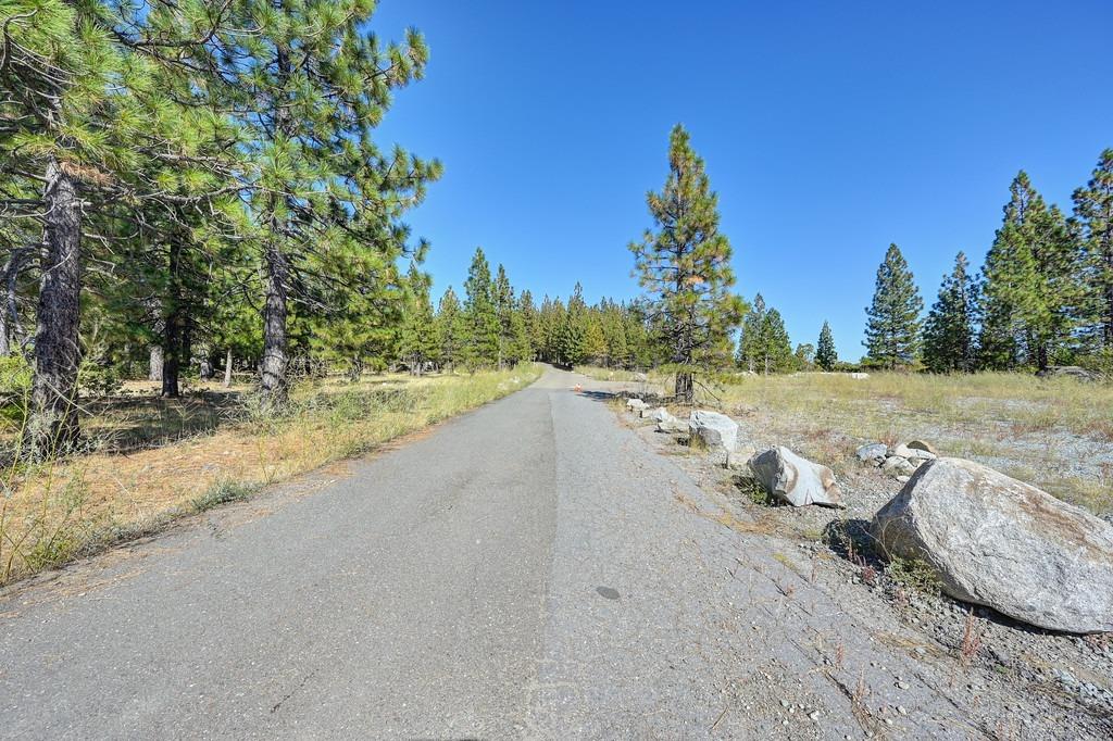 Nyack Road, Emigrant Gap, California image 12