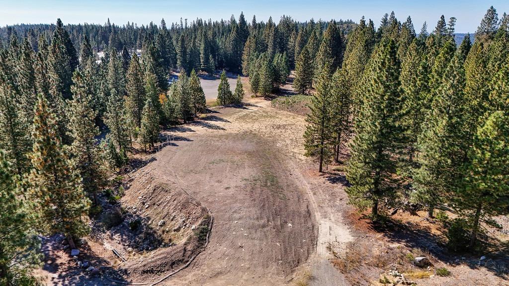 Nyack Road, Emigrant Gap, California image 39