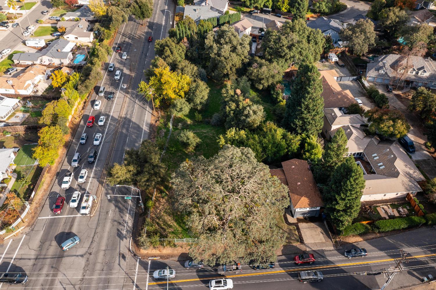 Madison Avenue, Fair Oaks, California image 7