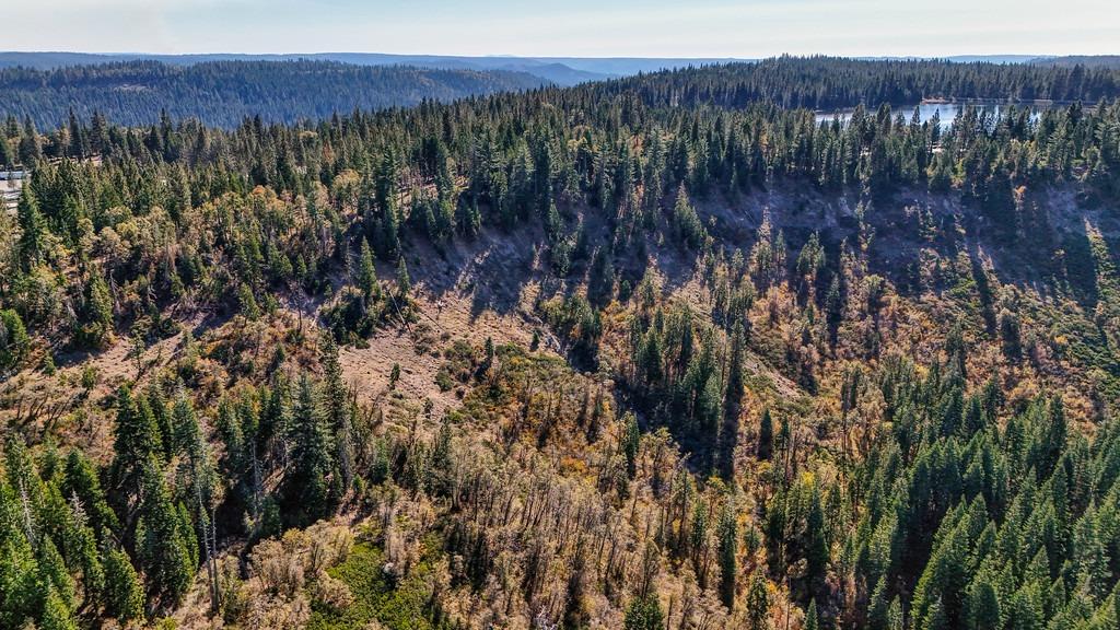 Nyack Road, Emigrant Gap, California image 49