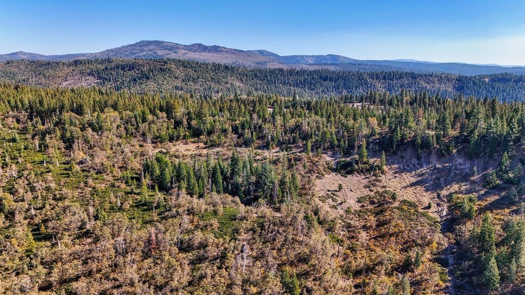 Nyack Road, Emigrant Gap, California image 46