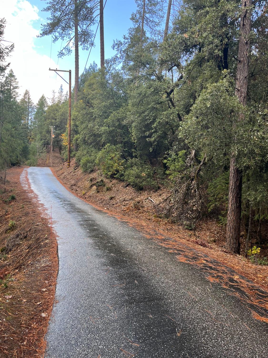 Toby Trail, Grass Valley, California image 3