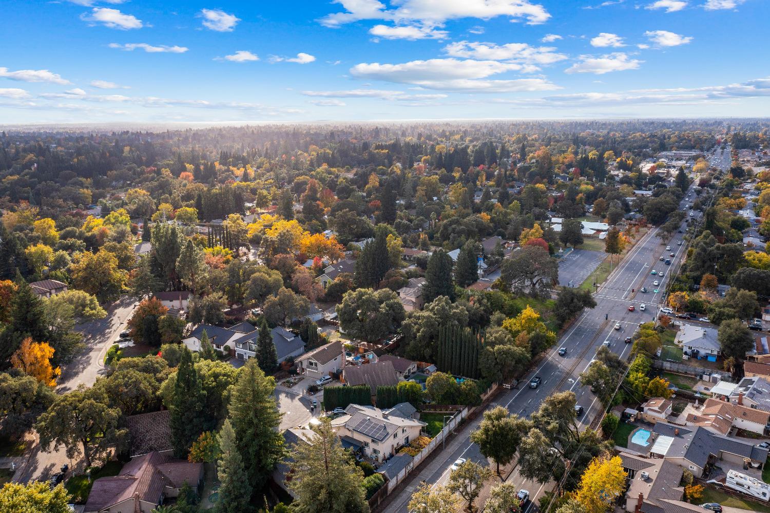 Madison Avenue, Fair Oaks, California image 11