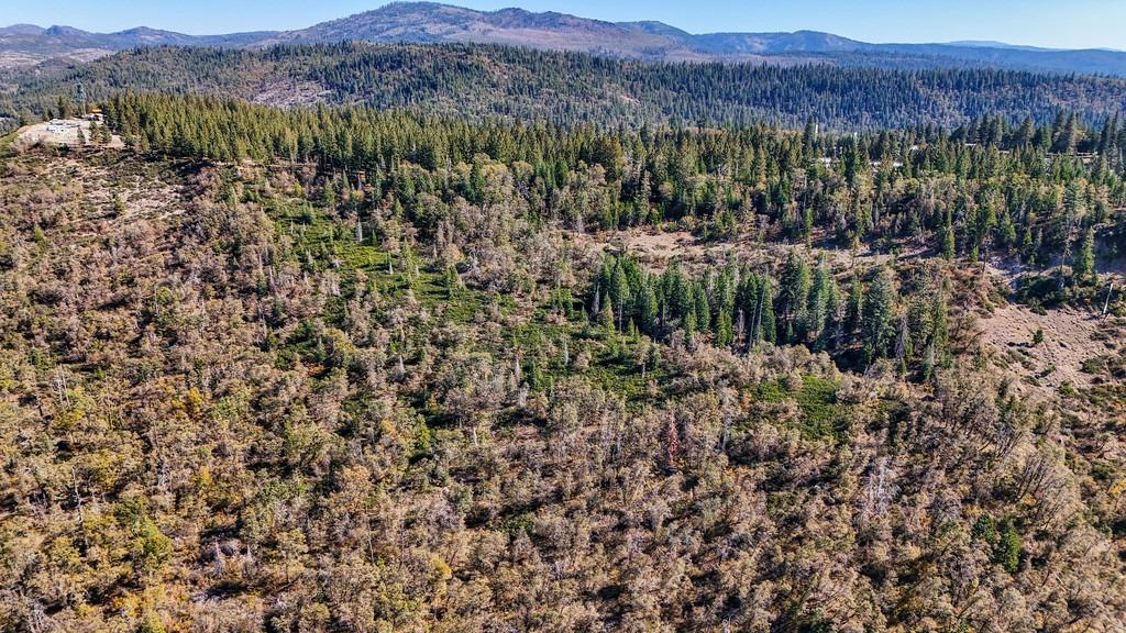 Nyack Road, Emigrant Gap, California image 47