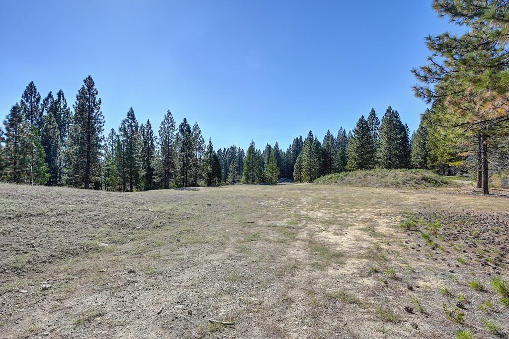 Nyack Road, Emigrant Gap, California image 8