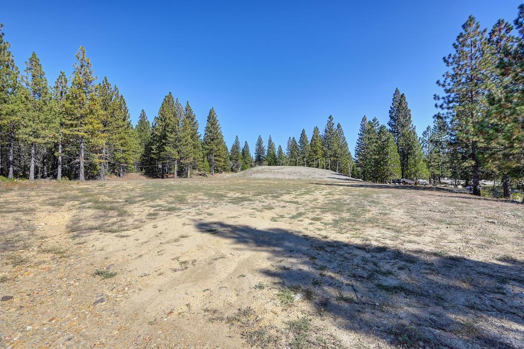 Nyack Road, Emigrant Gap, California image 33