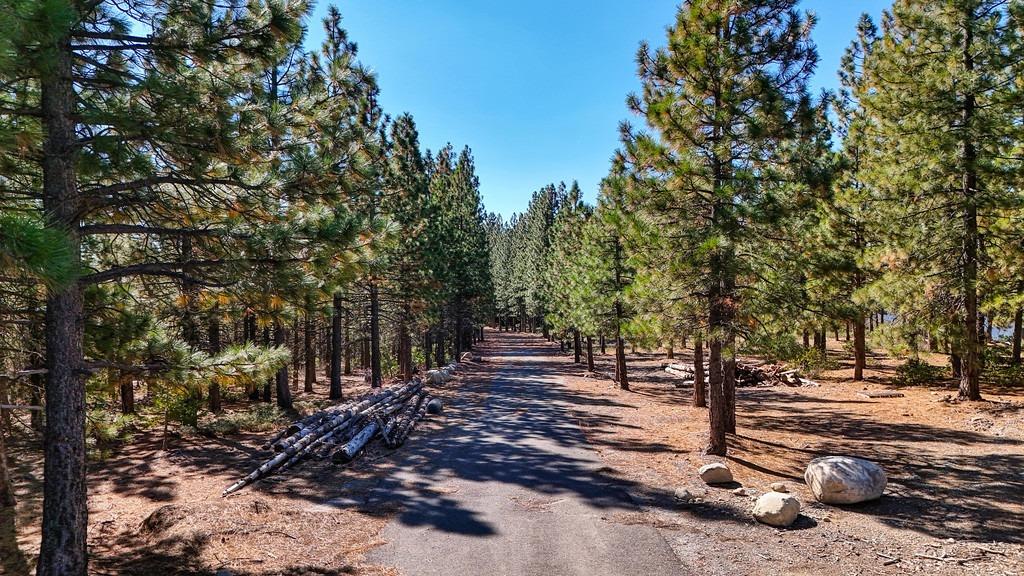 Nyack Road, Emigrant Gap, California image 3