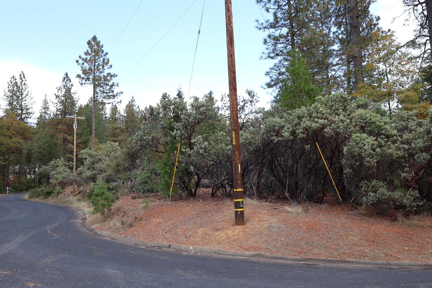 Red Fir Court, Foresthill, California image 10