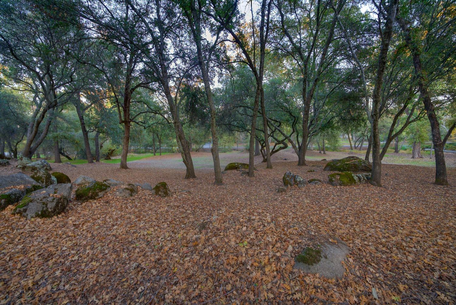 Auburn Folsom Road, Loomis, California image 46