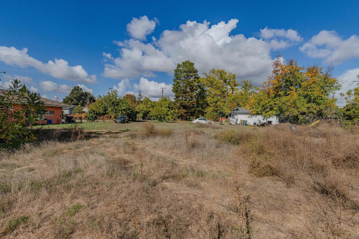 Shakeley Lane, Ione, California image 26