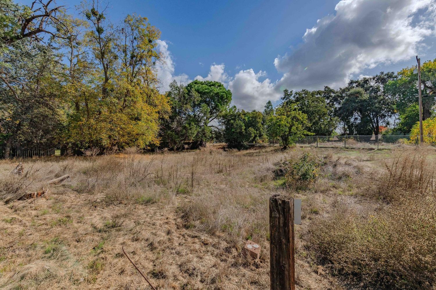 Shakeley Lane, Ione, California image 20